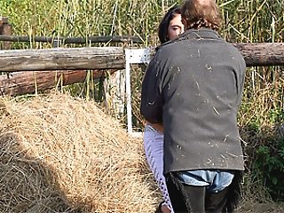 View Gallery